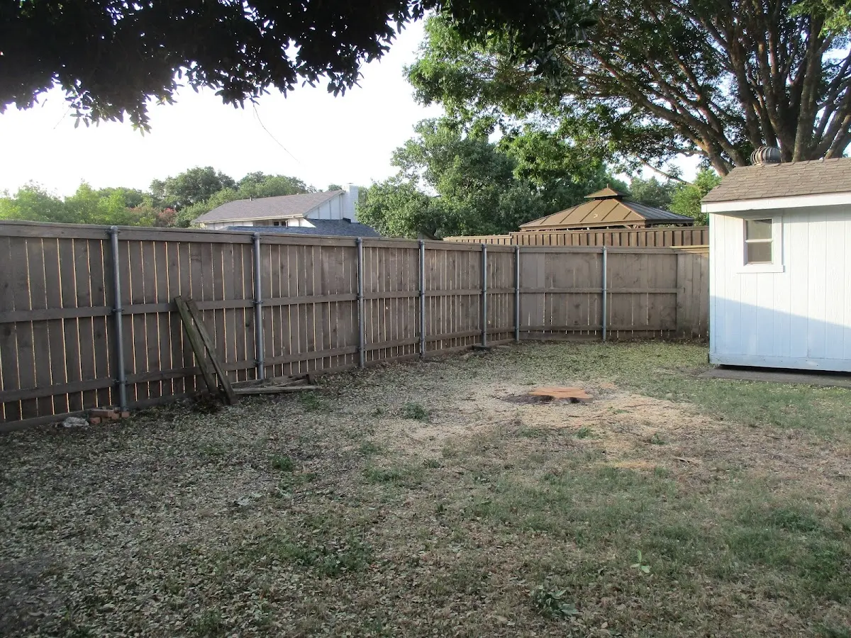 Cleared yard after professional tree removal in Hyannis Port