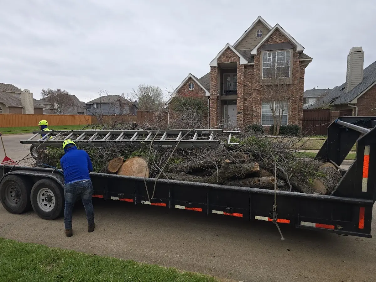 Expert Tree Removal with proper safety equipment in Hyannis Port